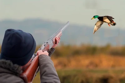 Azərbaycanda ov mövsümü uzadılıb