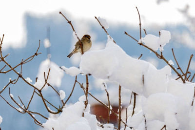 Fevralda cənubun havası necə olacaq?