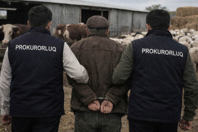 Çobanlar yarım milyonluq cinayətə görə həbs edildi