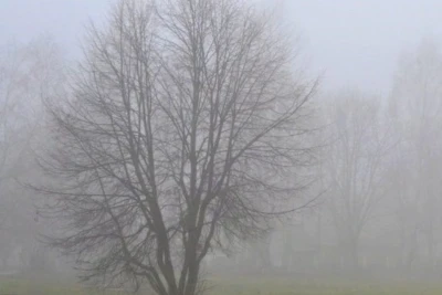 Duman olacaq, külək güclənəcək - SABAHIN HAVASI