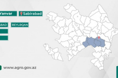 Məcnun Məmmədov Sabirabadda vətəndaşları qəbul edəcək