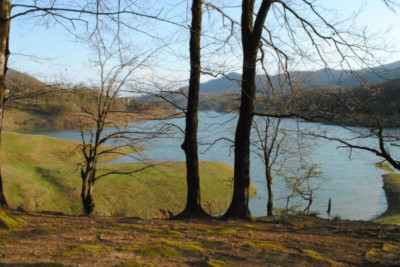 Hirkan Milli Parkının vəzifəli şəxsi azadlığa buraxılıb