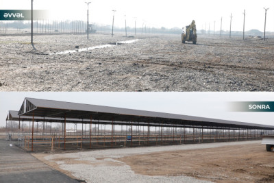 İmişli heyvan bazarının fəaliyyətinə icazə verilib