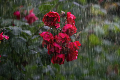 Sabah hava necə olacaq?