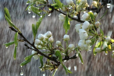 Cənubda faktiki hava