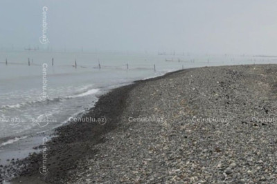 Lənkəran sahillərində mazut tullantıları narahatlıq yaradır