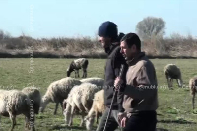 Salyanda yaşayış massivində biabırçı vəziyyət