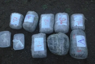 Bu ilin 3 ayı ərzində 76 milyon manatlıq narkotik dövriyyədən çıxarılıb