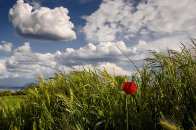 Sabah hava necə olacaq?