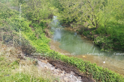 Lənkəranda torpaq sürüşməsi: 200 metrlik ərazi çaya töküldü