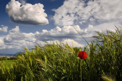 Sabah Azərbaycanda hava necə olacaq?