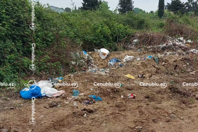 Astarada magistral yolun kənarı zibilliyə çevrilib