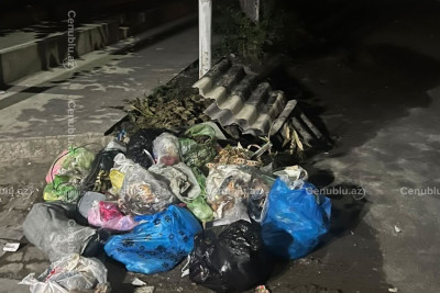 Lənkəranda sakinlər zibil problemindən şikayətçidirlər