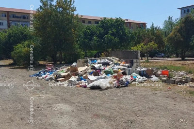 Lənkəranda zibil daşınmır, üfunət yayılır