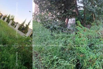 Lənkəranda məktəbin yaxınlığında antisanitar vəziyyət
