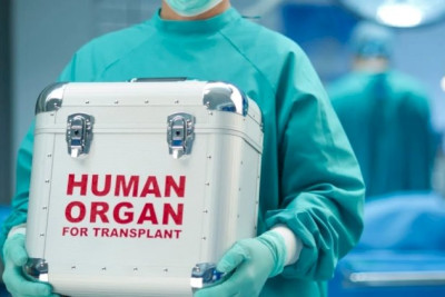 1400-dən artıq şəxs orqan və toxuma transplantasiyası üçün növbə gözləyir - RƏSMİ