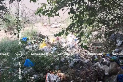 Kür çayı kömək gözləyir – Sahillər zibil içindədir