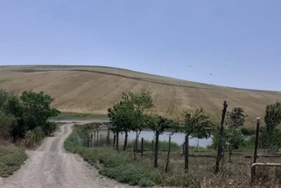 Soyuqbulaqda elektrik xətləri təhlükə saçır