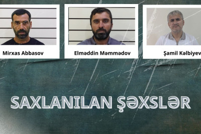 Lənkəranda narkotik tərkibli bitkilər yetişdirən şəxslər həbs edilib