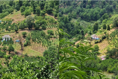 Astaranın Miki kəndi qazlaşdırılmasını gözləyir