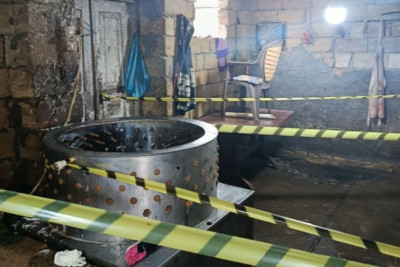 Masallıda qanunsuz toyuq kəsimi sexləri aşkarlandı