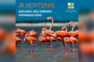 26 sentyabr – Qızılağac Milli Parkının yaranma günüdür